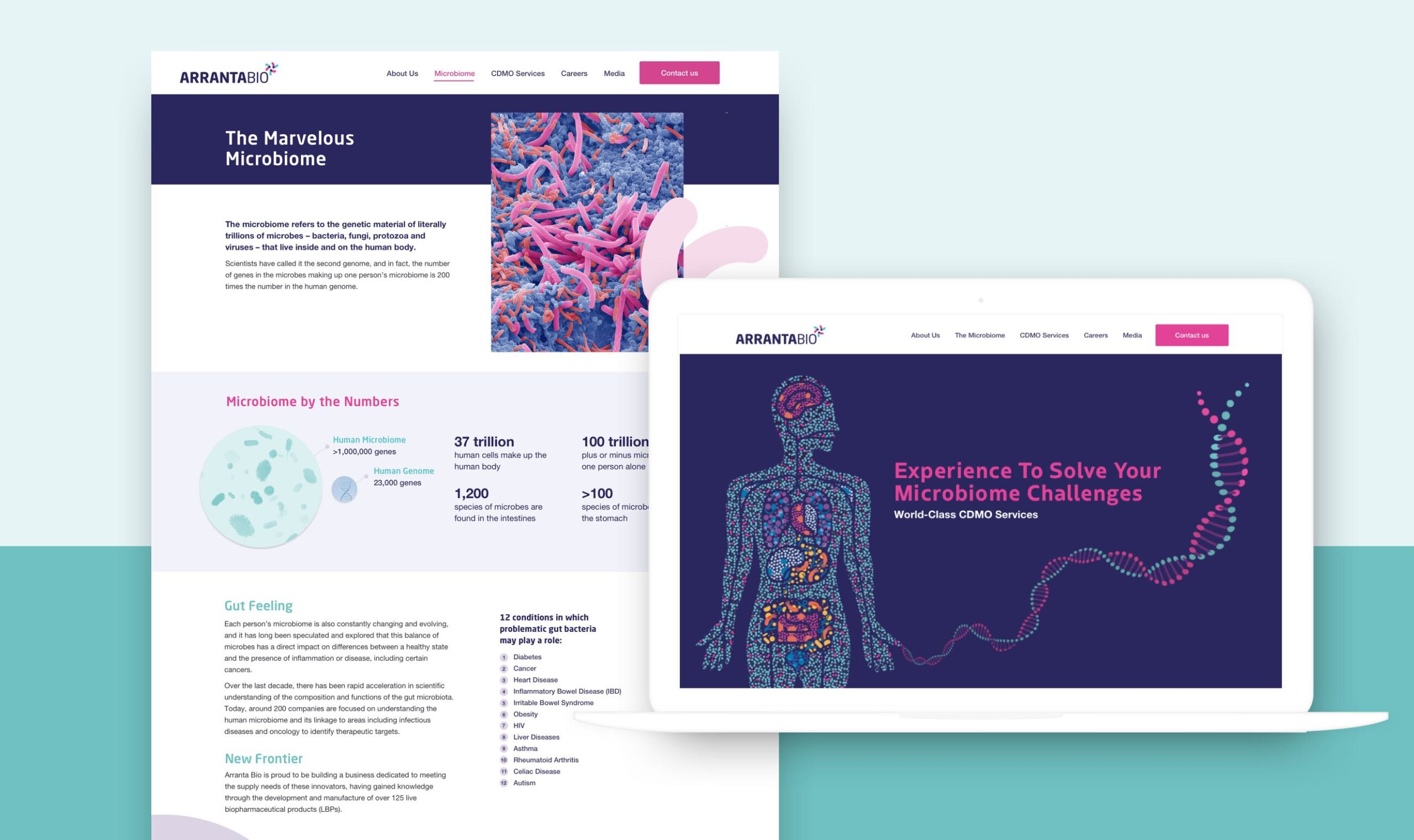 Arranta Bio - Digital & SEO