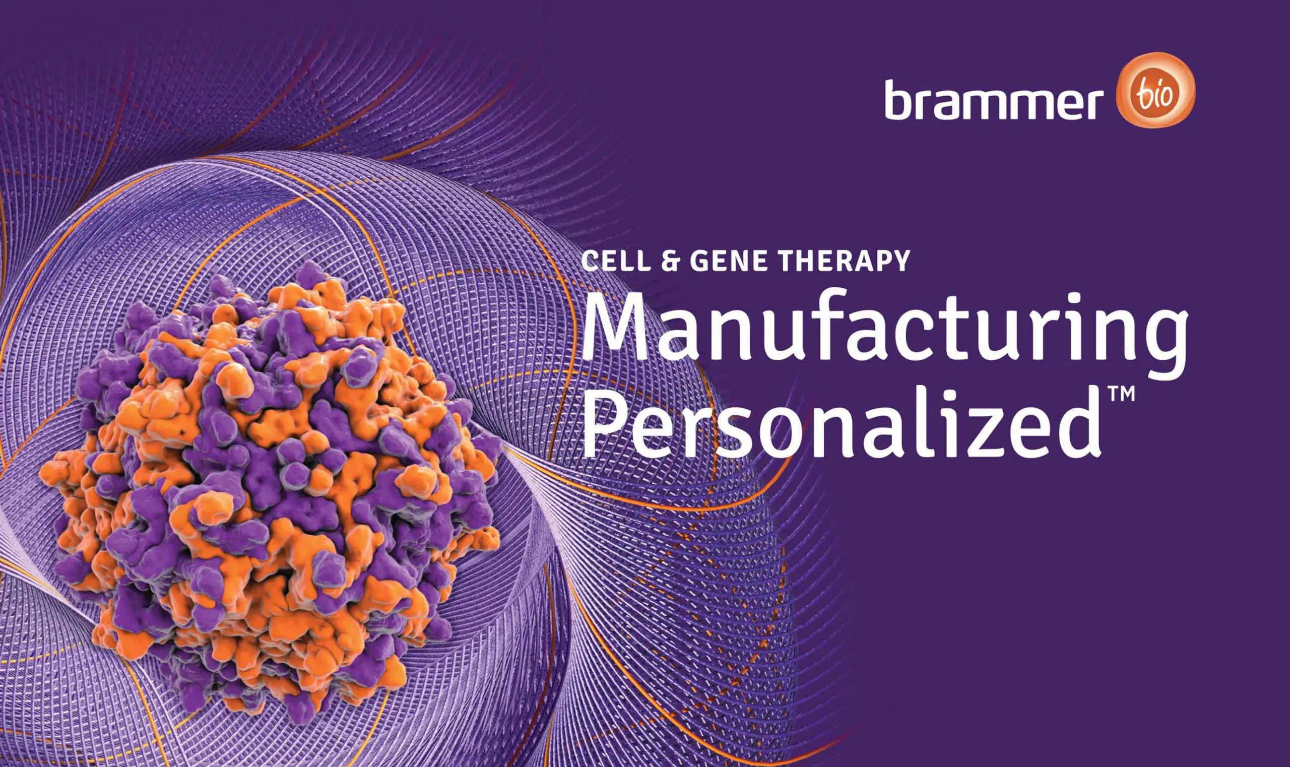 Brammer Bio - Creative
