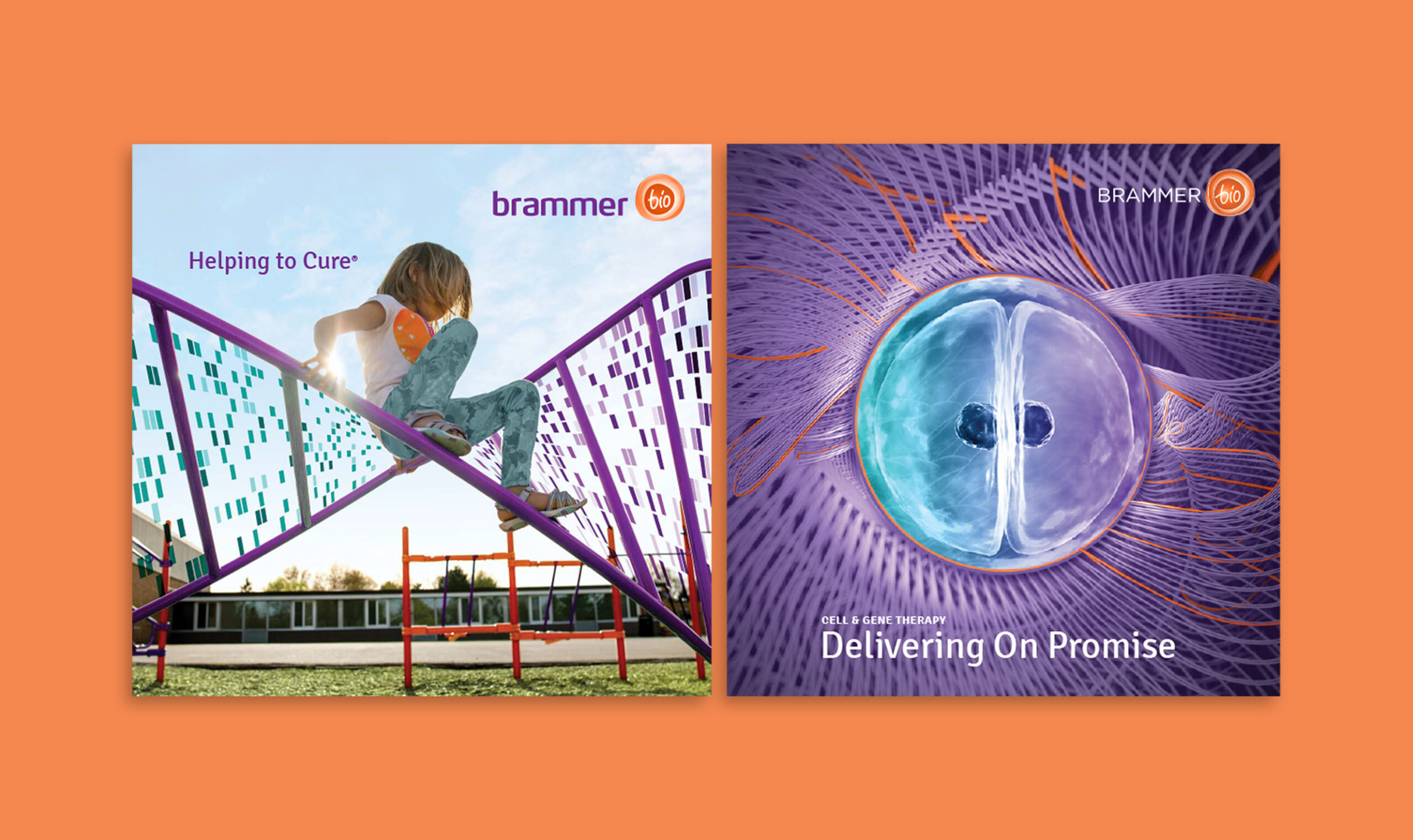 Brammer Bio - Creative Case Study - Image (2)