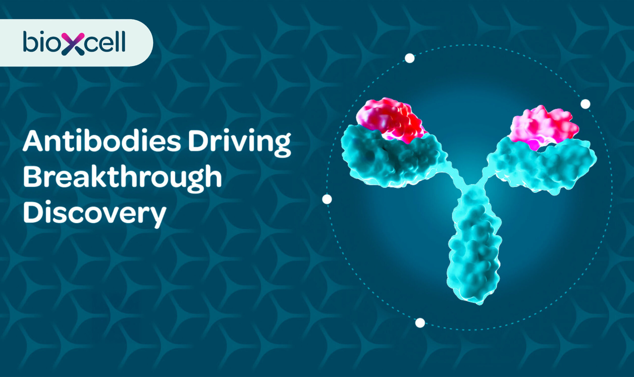 Bio X Cell - Creative Case Study - Image (2)