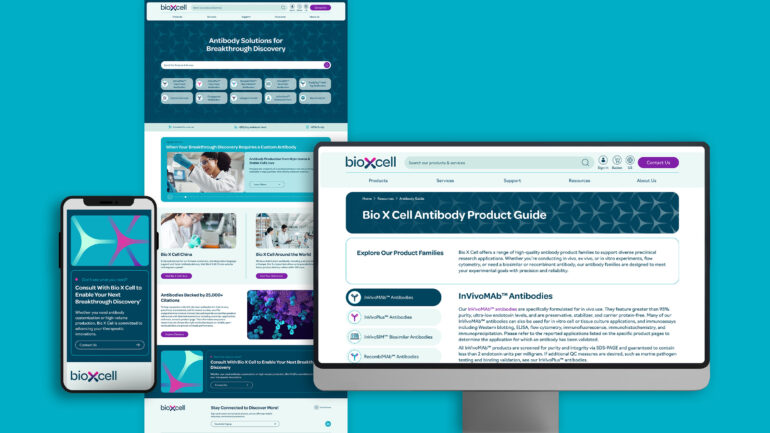 Bio X Cell Digital & SEO