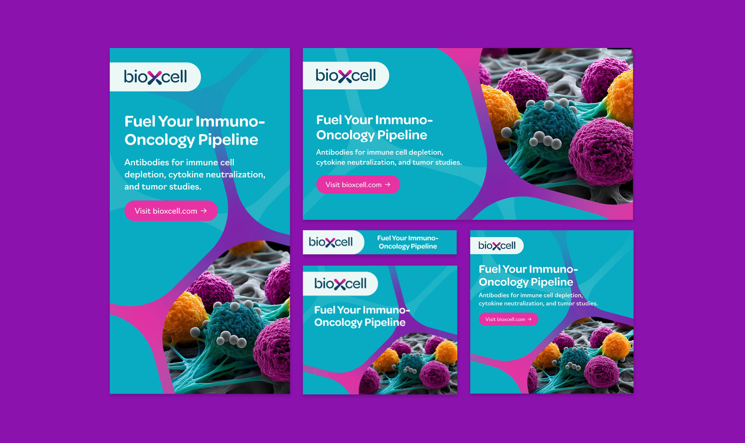 Bio X Cell - Media & PR Case Study - Image (2)